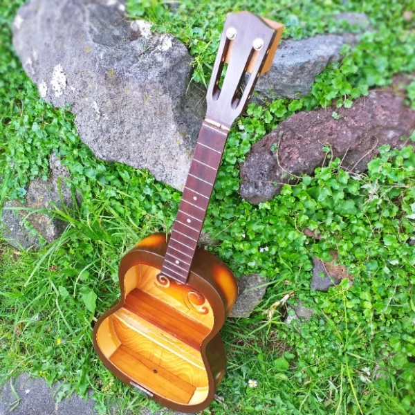 Guitar shelf - Image 3