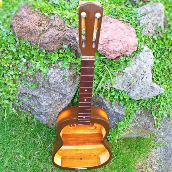 Guitar shelf - Image 4