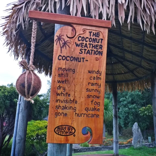 Coconut Weather Station - Image 2