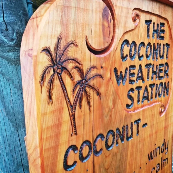 Coconut Weather Station - Image 7