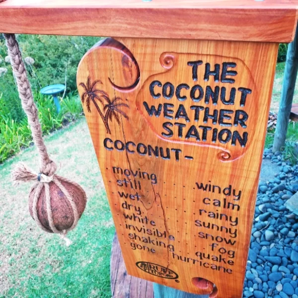 Coconut Weather Station - Image 9