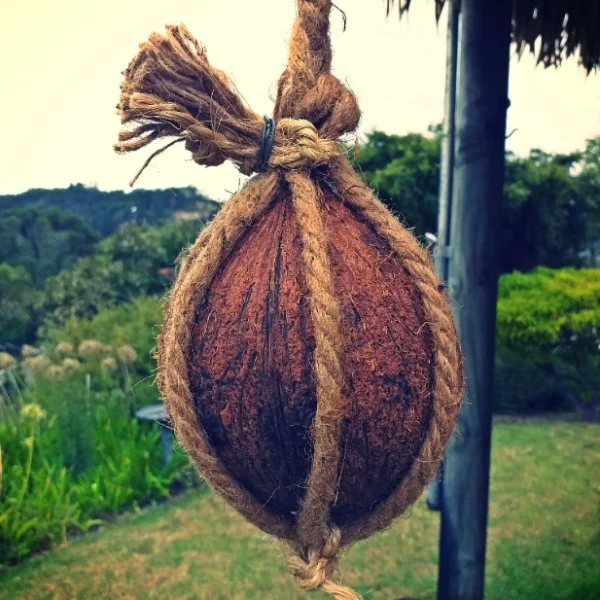 Coconut Weather Station - Image 5
