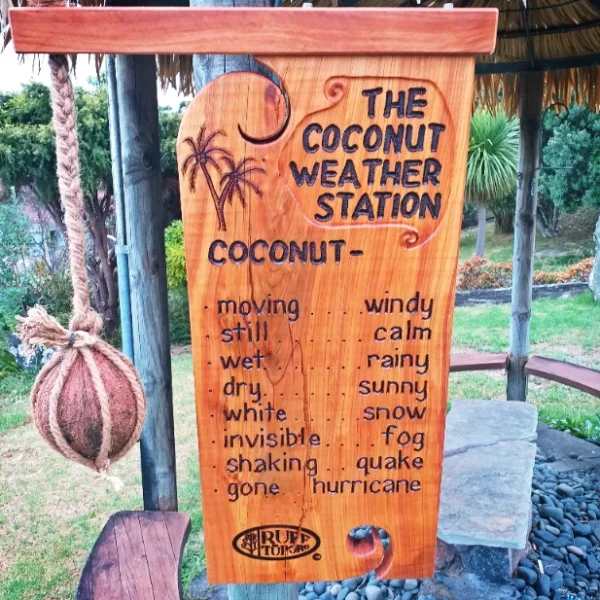 Coconut Weather Station - Image 8
