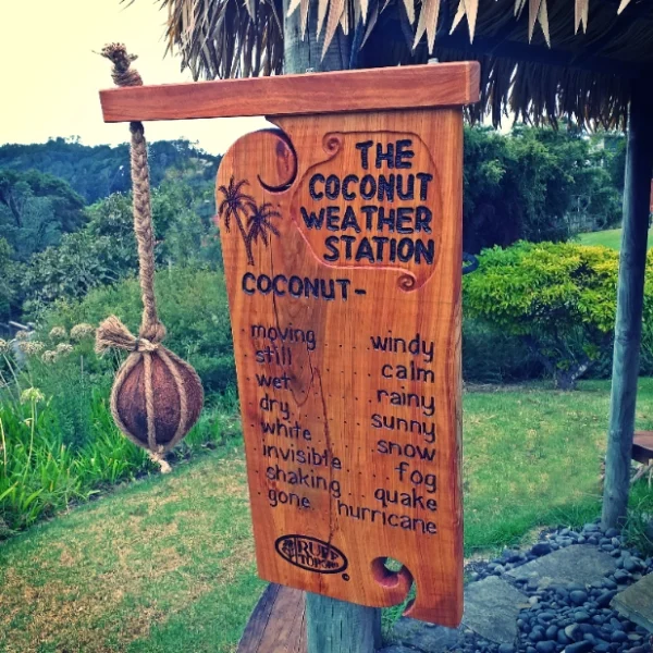 Coconut Weather Station - Image 3