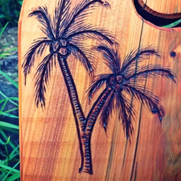 Coconut Weather Station - Image 6