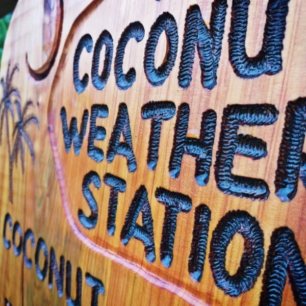 Coconut Weather Station - Image 4