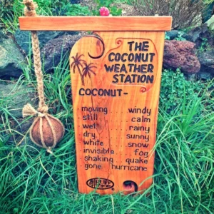 Coconut Weather Station