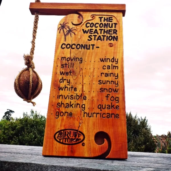 Coconut Weather Station - Image 13